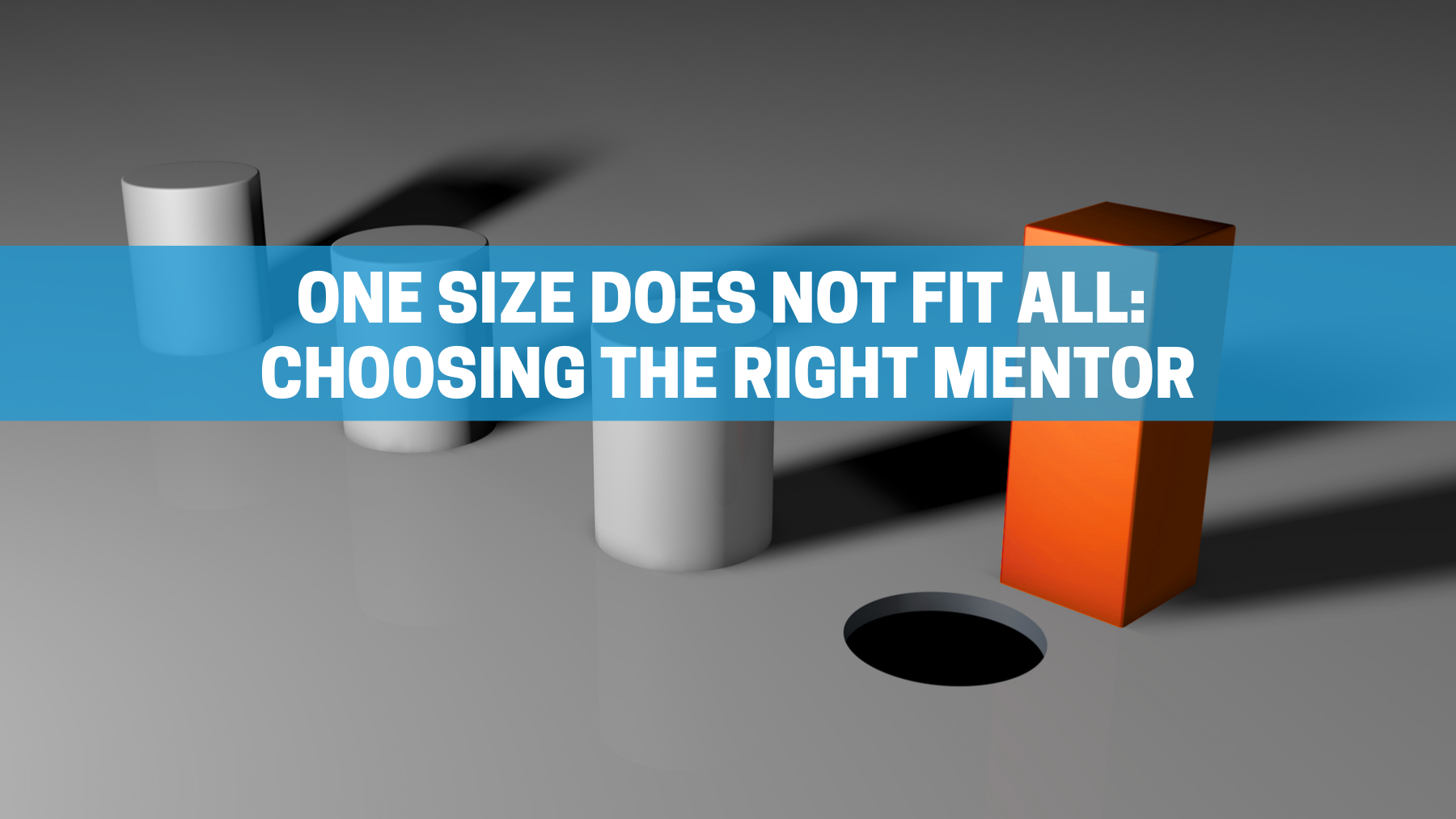 One Size Does Not Fit All: Choosing the Right Mentor