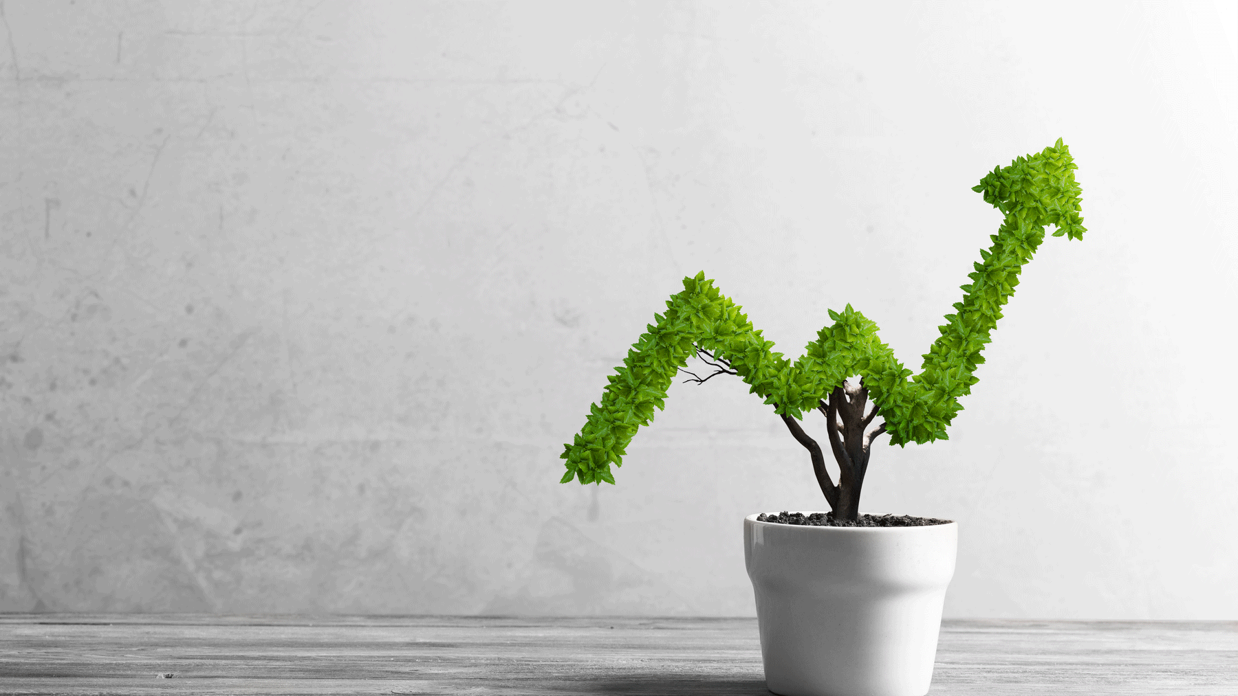 Nonprofit Growth Trends: 3 Reasons Organizations Stop Growing